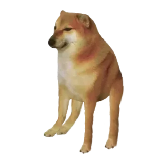 Sticker Больше стиков тут: @stikery4 - 3