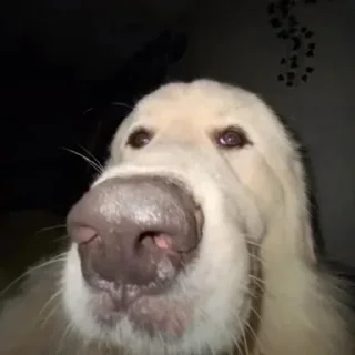 Sticker Больше стикеров 👉🏻 @stickertg4 - 4