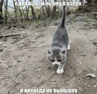 Sticker Больше стикеров 👉🏻 @stickertg4 - 10