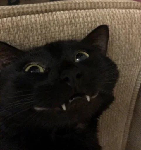 Больше стиков тут: @stikery4 - 