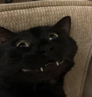 Стикер Больше стиков тут: @stikery4 - 11