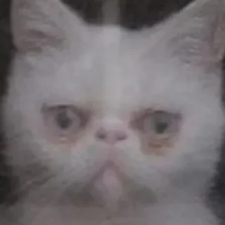 Стикер Больше стиков тут: @stikery4 - 5