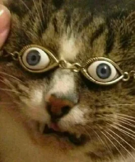 Стикер Больше стиков тут: @stikery4 - 10