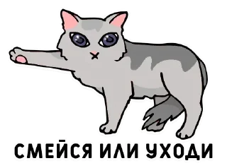 Стикер Больше стикеров: @sticerru - 1