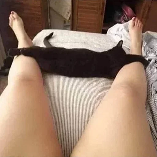 Sticker wYZnTbB_by_stickers_stealer_bot - 1