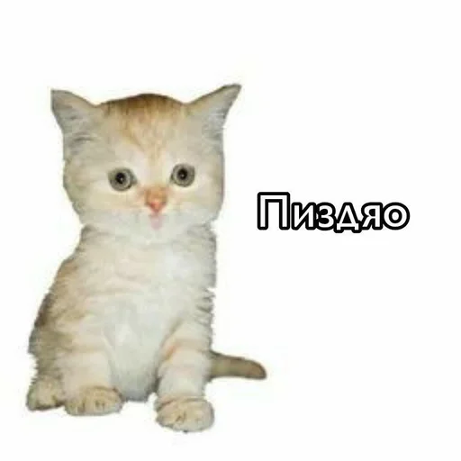 Стикер Дыаша в печали :: @fStikBot - 3