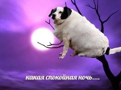 Стикер Дыаша в печали :: @fStikBot - 2