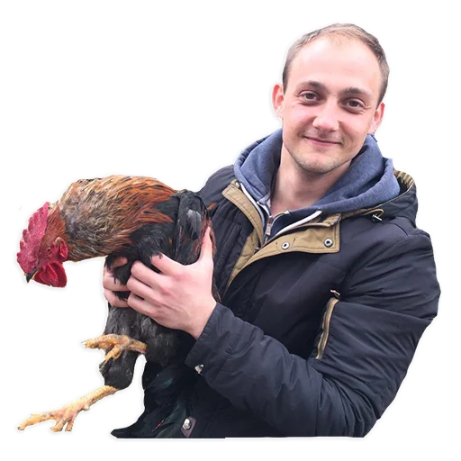 Sticker waitesWirelessUa - 1