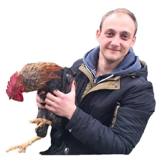 Sticker WaitesWireless UA - 0