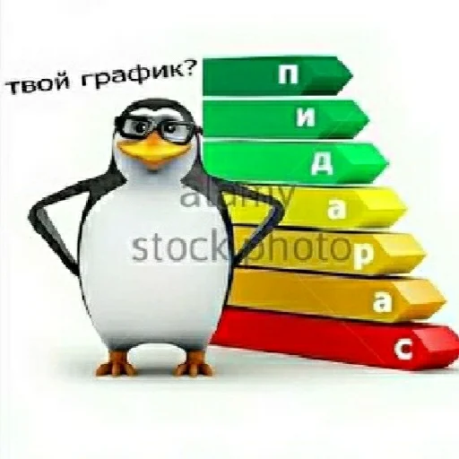 text penguin bird