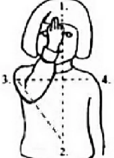 sketch line art drawing