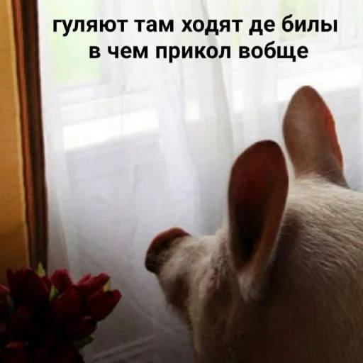 Sticker wannaloveyou - 1