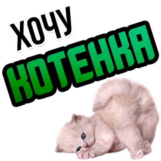 Sticker Хочу @StikeryTG - 6