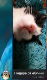 Sticker @WeStickerbot CumМЕНТарии - 10