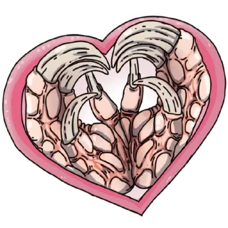 Стикер FALLOUT NEW VEGAS  Stickers_game - 6