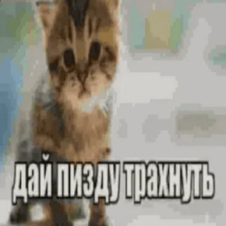 Sticker watafuk by @blyqd - 10