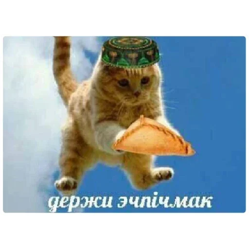 Sticker wbKDvyg_by_achestickbot - 1