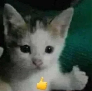 Sticker Создано в @sozdsti_bot - 10