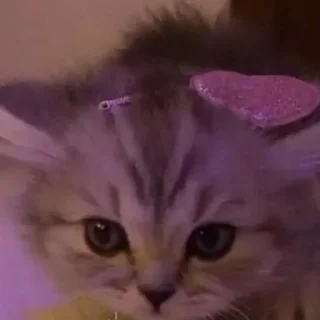 Sticker Создано в @sozdsti_bot - 7