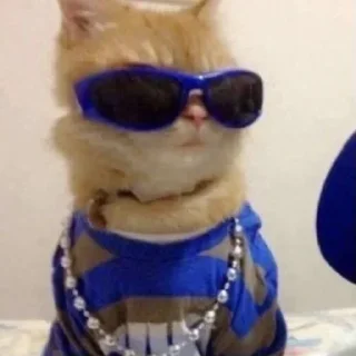 Sticker Создано в @sozdsti_bot - 5