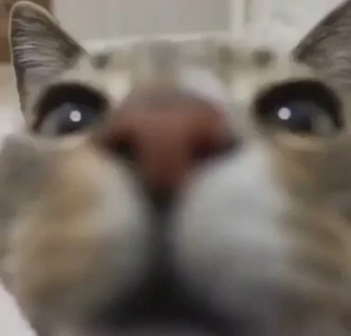 Sticker who can it be now? - 0