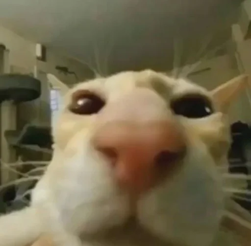 who can it be now? - 