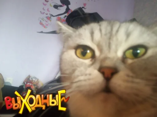 Sticker выходные - 1