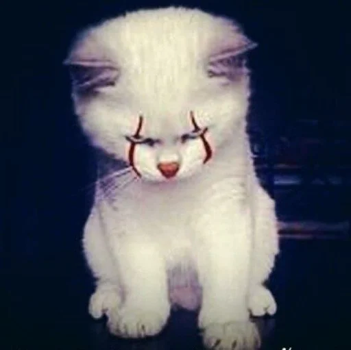 млекопитающее животное кошка