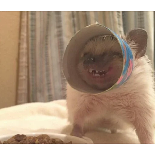 Sticker wecantexpectGodtodoallthework - 1