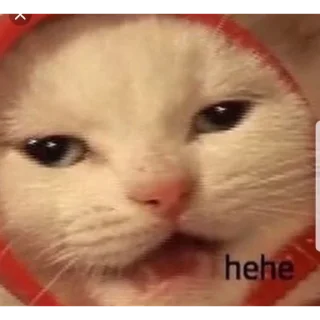 Стикер Живность - 11