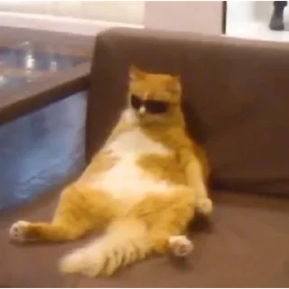 Стикер Живность - 7