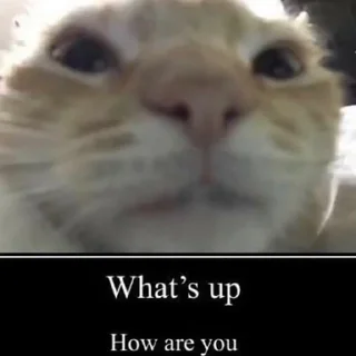 Стикер Живность - 2