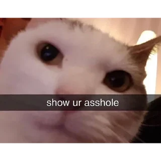 Стикер Живность - 9