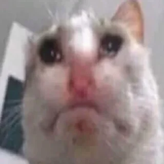 Стикер Живность - 5