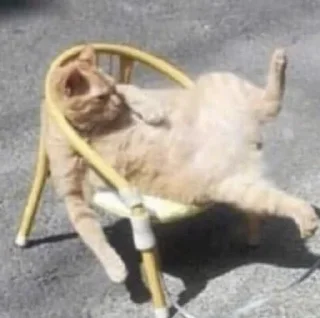 Стикер miaomeow - 11