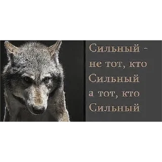 Sticker Oops_It's_wet - 4