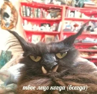 Sticker Oops_It's_wet - 9