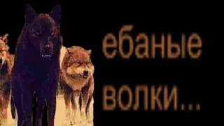 Sticker Oops_It's_wet - 5