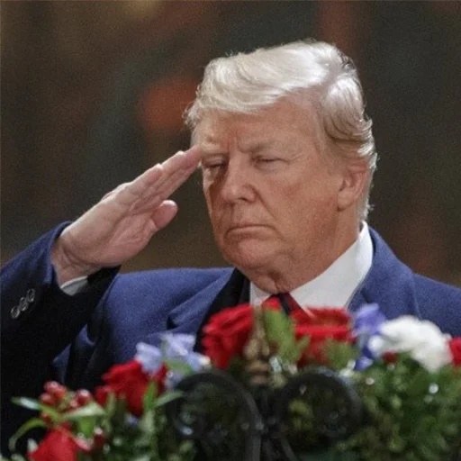 Человек цветок одежда