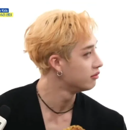 person human face hairpiece