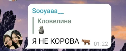 СМС скриншот человеческое лицо