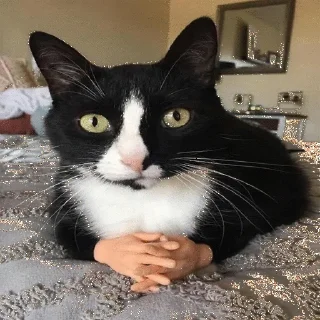 Стикер служба всратой поддержки - 0