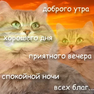 Стикер служба всратой поддержки - 2