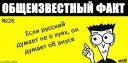 Стикер Общеизвестный факт - 11