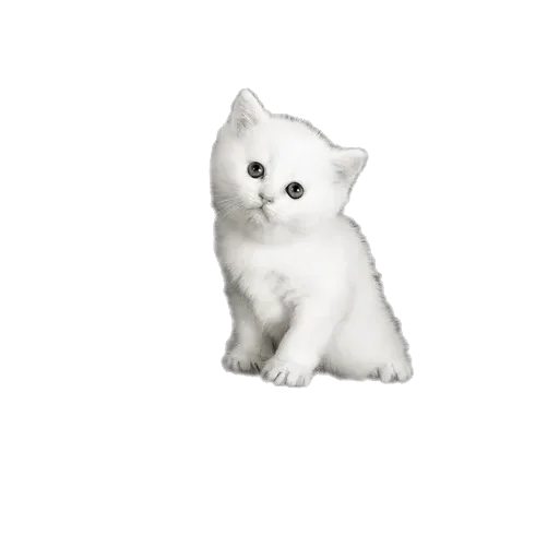 Sticker weommeowcats - 1