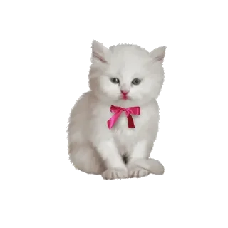 Sticker lovelycats @trisochkaa - 2