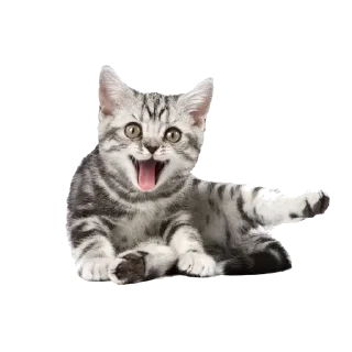 Sticker lovelycats @trisochkaa - 1