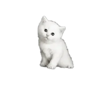 Sticker lovelycats @trisochkaa - 4