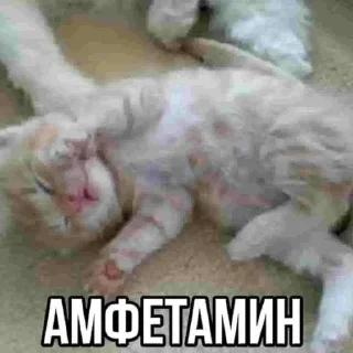 Стикер ‘mm - 7