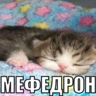 Стикер ‘mm - 8